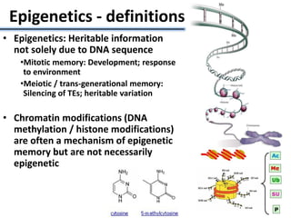 Epigenetics - definitions
• Epigenetics: Heritable information
not solely due to DNA sequence
•Mitotic memory: Development; response
to environment
•Meiotic / trans-generational memory:
Silencing of TEs; heritable variation
• Chromatin modifications (DNA
methylation / histone modifications)
are often a mechanism of epigenetic
memory but are not necessarily
epigenetic
 