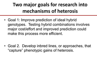 Two major goals for research into
mechanisms of heterosis
• Goal 1: Improve prediction of ideal hybrid
genotypes. Testing hybrid combinations involves
major cost/effort and improved prediction could
make this process more efficient.
• Goal 2. Develop inbred lines, or approaches, that
“capture” phenotypic gains of heterosis.
 
