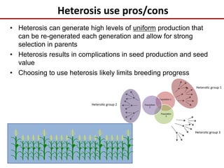 Heterosis use pros/cons
• Heterosis can generate high levels of uniform production that
can be re-generated each generation and allow for strong
selection in parents
• Heterosis results in complications in seed production and seed
value
• Choosing to use heterosis likely limits breeding progress
 