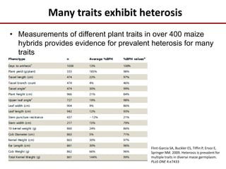 Many traits exhibit heterosis
• Measurements of different plant traits in over 400 maize
hybrids provides evidence for prevalent heterosis for many
traits
Flint-Garcia SA, Buckler ES, Tiffin P, Ersoz E,
Springer NM. 2009. Heterosis is prevalent for
multiple traits in diverse maize germplasm.
PLoS ONE 4:e7433
 