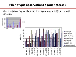 B73 Best Parent Heterosis
0
2
4
6
8
10
12
14
H100xB73
B84xB73
F2xB73
B14axB73
Mo17xB73
B77xB73
H99xB73
W64axB73
W22xB73
Wf9xB73
B37xB73
Oh43xB73
A188xB73
Ranking
Final Height
Stalk Diameter
Days to Flow er
Number of Chutes
50 Seed Weight
Kernel Row s
Week 3 Height
Biomass Avg *
Greenhouse height *
Phenotypic observations about heterosis
•Heterosis is not quantifiable at the organismal level (trait to trait
variation)
 