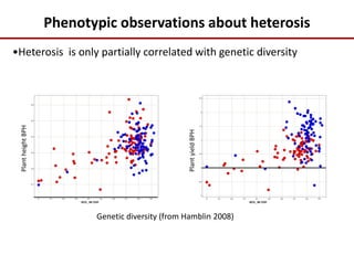 Phenotypic observations about heterosis
•Heterosis is only partially correlated with genetic diversity
PlantheightBPH
PlantyieldBPH
Genetic diversity (from Hamblin 2008)
 