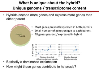 What is unique about the hybrid?
Unique genome / transcriptome content
• Hybrids encode more genes and express more genes than
either parent
• Basically a dominance explanation
• How might these genes contribute to heterosis?
Parent 1
Parent 2
• Most genes present/expressed in both parents
• Small number of genes unique to each parent
• All genes present / expressed in hybrid
 