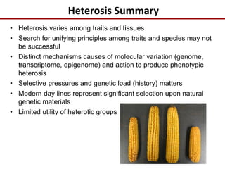Heterosis Summary
• Heterosis varies among traits and tissues
• Search for unifying principles among traits and species may not
be successful
• Distinct mechanisms causes of molecular variation (genome,
transcriptome, epigenome) and action to produce phenotypic
heterosis
• Selective pressures and genetic load (history) matters
• Modern day lines represent significant selection upon natural
genetic materials
• Limited utility of heterotic groups
 
