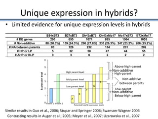 Unique expression in hybrids?
• Limited evidence for unique expression levels in hybrids
0
1
2
3
4
5
6
Expressionlevel
Parent 1 Parent 2
Potential hybrid expression levels
A
B
C
D
E
High parent level
B84xB73 B37xB73 Oh43xB73 Oh43xMo17 Mo17xB73 B73xMo17
# DE genes 290 655 1071 885 1064 1055
# Non-additive 88 (30.3%) 159 (24.3%) 296 (27.6%) 233 (26.3%) 247 (23.2%) 266 (25.2%)
# NA between parents 83 126 232 184 201 209
# HP or LP 5 32 58 47 44 55
# AHP or BLP 0 3 6 2 2 2
Similar results in Guo et al., 2006; Stupar and Springer 2006; Swanson-Wagner 2006
Contrasting results in Auger et al., 2005; Meyer et al., 2007; Uzarowska et al., 2007
Non-additive
Non-additive
Mid-parent level
Low parent level
High-parent
Low-parent
Above high-parent
Below high-parent
Non-additive
between parents
 