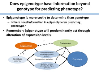Does epigenotype have information beyond
genotype for predicting phenotype?
• Epigenotype is more costly to determine than genotype
– Is there novel information in epigenotype for predicting
phenotype?
• Remember: Epigenotype will predominantly act through
alteration of expression levels
Genotype
(SNPs / TEs)
Quantitative variation
(altered levels of gene
product)
Environment
Epigenotype
Qualitative variation
(altered quality of gene
product)
Phenotype
?
?
Gene product variation
 