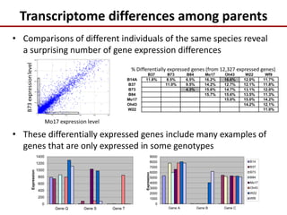 0
200
400
600
800
1000
1200
1400
Gene Q Gene S Gene T
Expression
0
1000
2000
3000
4000
5000
6000
7000
8000
9000
Gene A Gene B Gene C
Expression
B14
B37
B73
B84
Mo17
Oh43
W22
Wf9
Transcriptome differences among parents
• Comparisons of different individuals of the same species reveal
a surprising number of gene expression differences
B37 B73 B84 Mo17 Oh43 W22 Wf9
B14A 11.8% 8.5% 6.5% 16.2% 16.6% 12.0% 11.7%
B37 11.0% 9.5% 14.2% 12.7% 12.1% 11.8%
B73 4.3% 15.6% 14.7% 13.1% 12.0%
B84 15.7% 15.6% 13.5% 11.3%
Mo17 15.0% 15.0% 14.2%
Oh43 14.2% 12.1%
W22 11.0%
% Differentially expressed genes (from 12,327 expressed genes)
• These differentially expressed genes include many examples of
genes that are only expressed in some genotypes
 