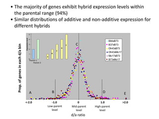 Low-parent
level
High-parent
level
Mid-parent
level
Prop.ofgenesineachd/abin
<-2.0 -1.0 0 1.0 >2.0
d/a ratio
• The majority of genes exhibit hybrid expression levels within
the parental range (94%)
• Similar distributions of additive and non-additive expression for
different hybrids
B84xB73
B37xB73
Oh43xB73
Oh43xMo17
Mo17xB73
B73xMo17
A B D E
0
1
2
3
4
5
6
Expressionlevel
Parent 1
Parent 2
A
B
C
D
E C
 
