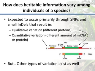 How does heritable information vary among
individuals of a species?
• Expected to occur primarily through SNPs and
small InDels that result in:
– Qualitative variation (different proteins)
– Quantitative variation (different amount of mRNA
or protein)
• But.. Other types of variation exist as well
 