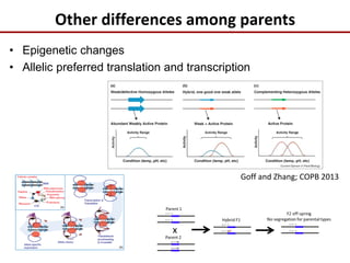 Other differences among parents
• Epigenetic changes
• Allelic preferred translation and transcription
Goff and Zhang; COPB 2013
 