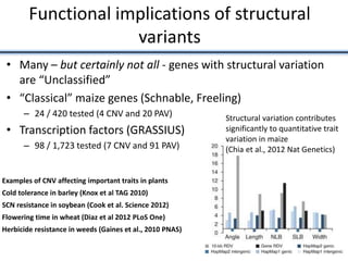 Functional implications of structural
variants
• Many – but certainly not all - genes with structural variation
are “Unclassified”
• “Classical” maize genes (Schnable, Freeling)
– 24 / 420 tested (4 CNV and 20 PAV)
• Transcription factors (GRASSIUS)
– 98 / 1,723 tested (7 CNV and 91 PAV)
Structural variation contributes
significantly to quantitative trait
variation in maize
(Chia et al., 2012 Nat Genetics)
Examples of CNV affecting important traits in plants
Cold tolerance in barley (Knox et al TAG 2010)
SCN resistance in soybean (Cook et al. Science 2012)
Flowering time in wheat (Diaz et al 2012 PLoS One)
Herbicide resistance in weeds (Gaines et al., 2010 PNAS)
 