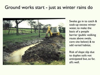 Ground works start - just as winter rains do

                                Swales go in to catch &
                                soak-up excess winter
                                water, to make the
                                basis of a people
                                barrier (public walking
                                route above swale,
                                core site below) & to
                                add varied habitat.

                                Risk of slope slip due
                                to duplex soils not
                                anticipated but, so far,
                                all’s well.
 