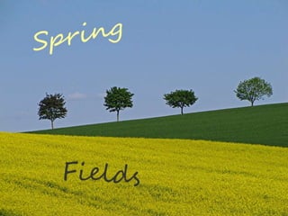 Spring fields