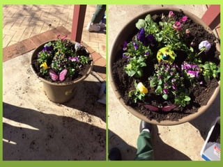 Spring Flower Competition