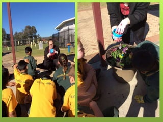 Spring Flower Competition