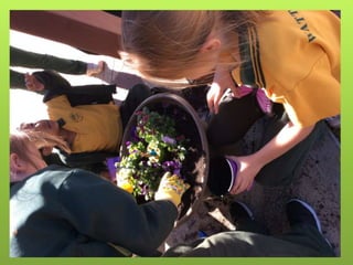 Spring Flower Competition