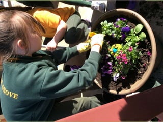 Spring Flower Competition