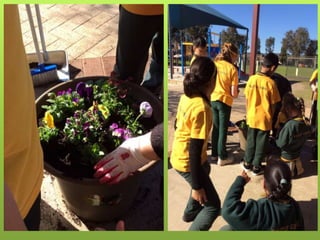 Spring Flower Competition