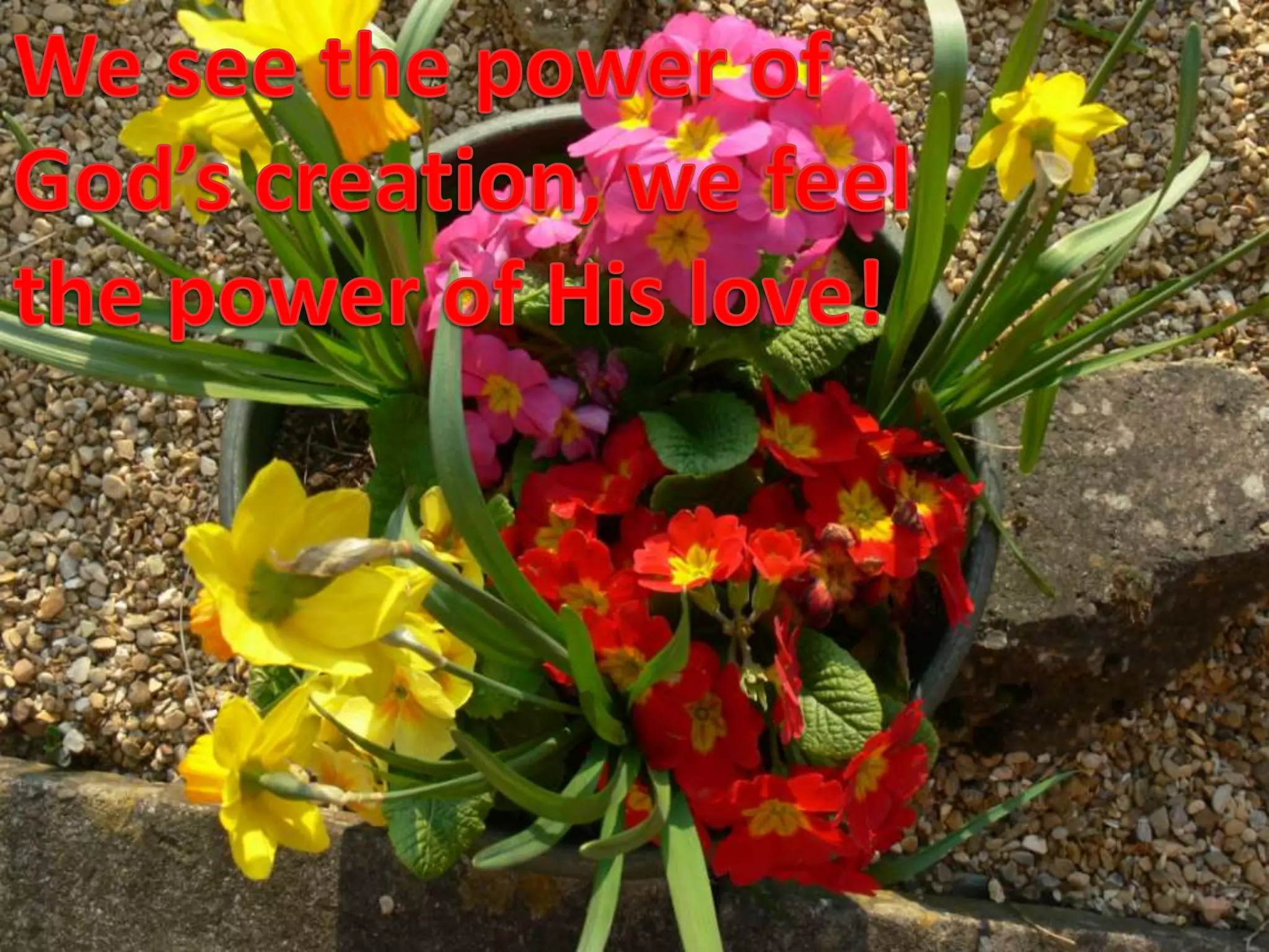 We see the power of God’s creation, we feel the power of His love!