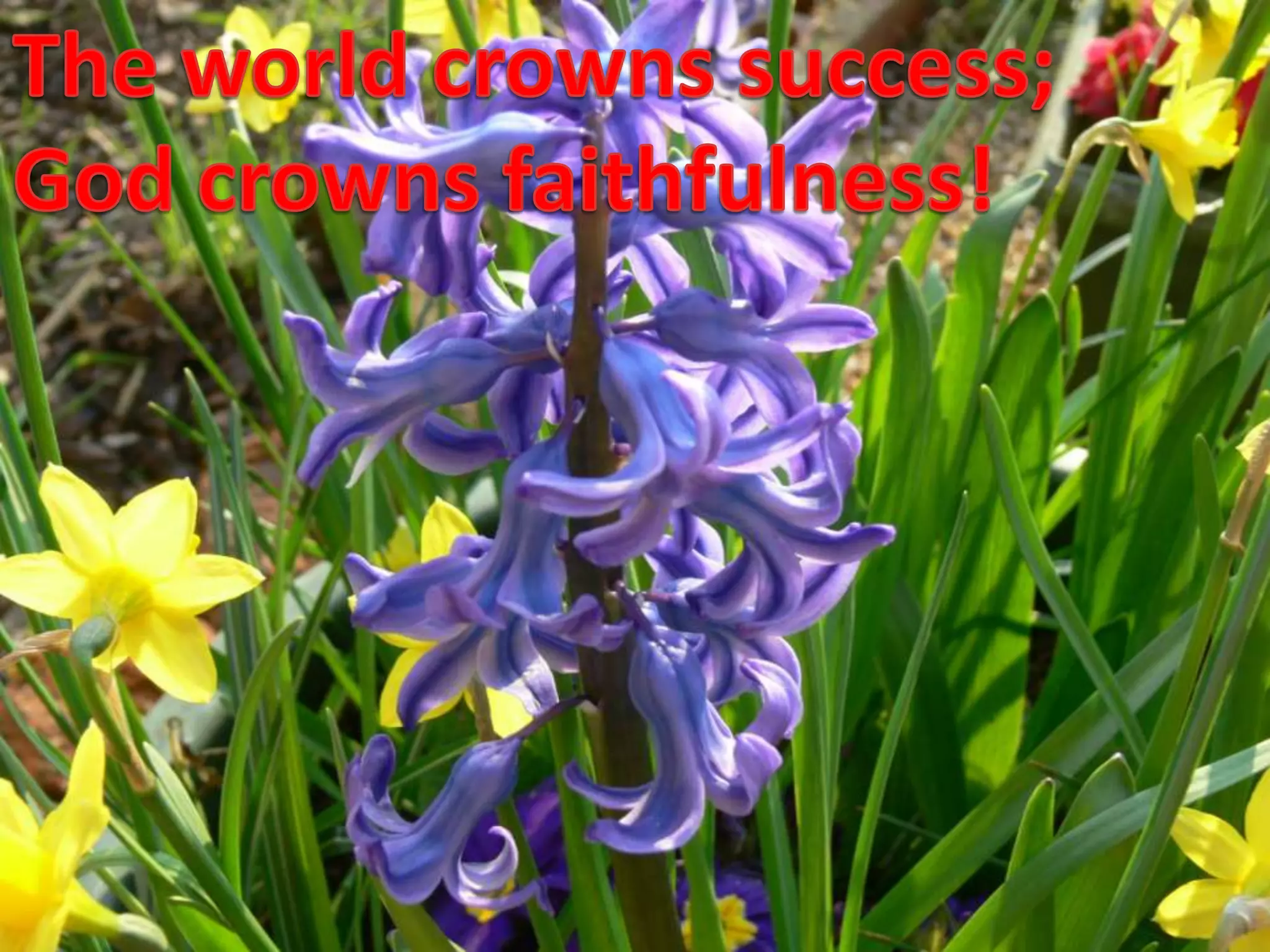 The world crowns success;God crowns faithfulness!