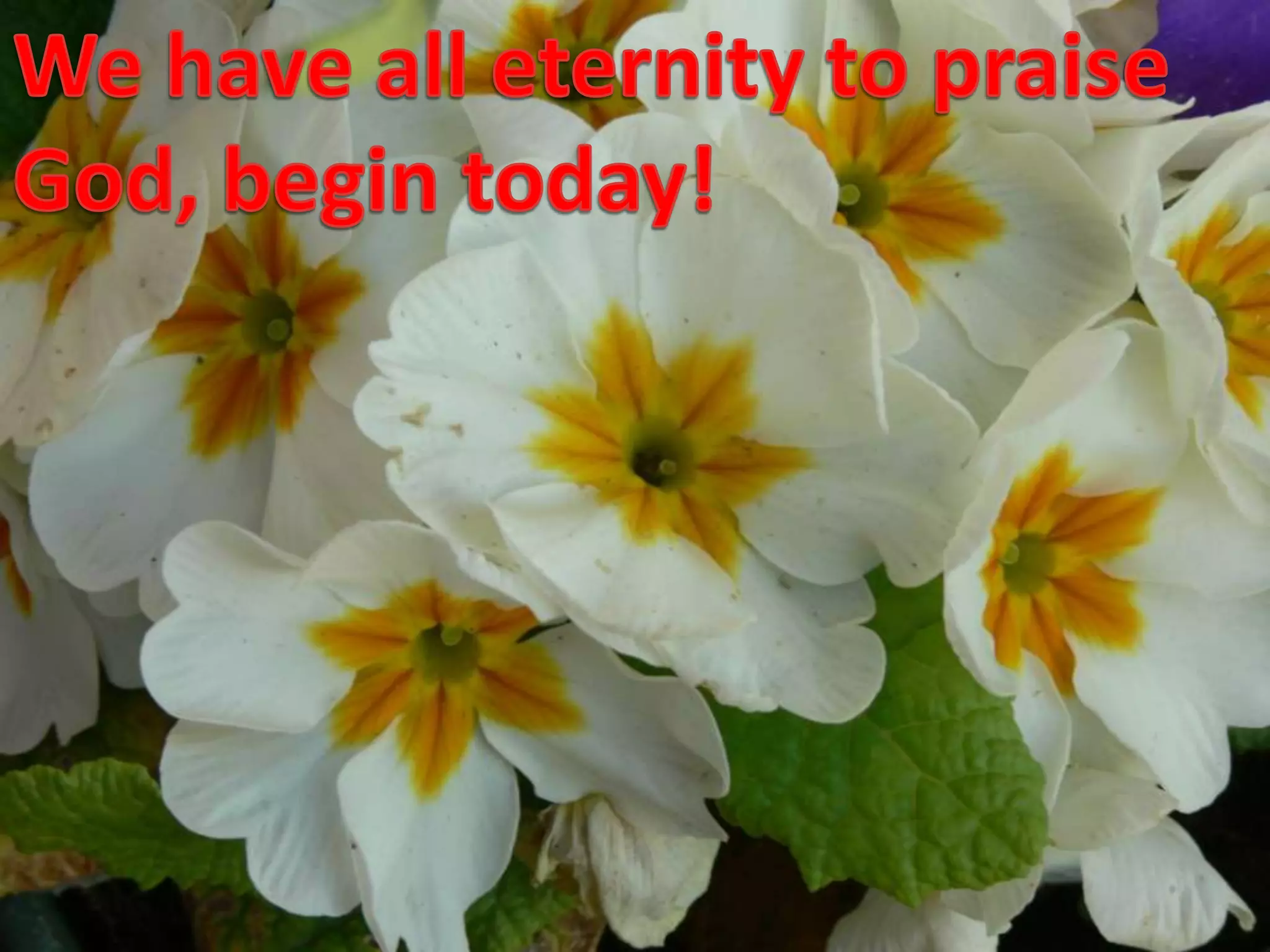 We have all eternity to praiseGod, begin today!