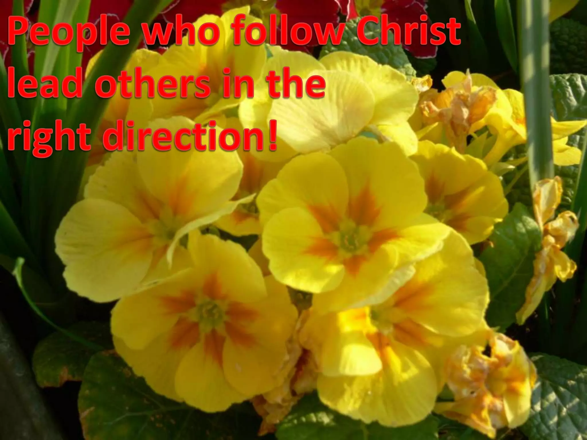 People who follow Christlead others in the right direction!