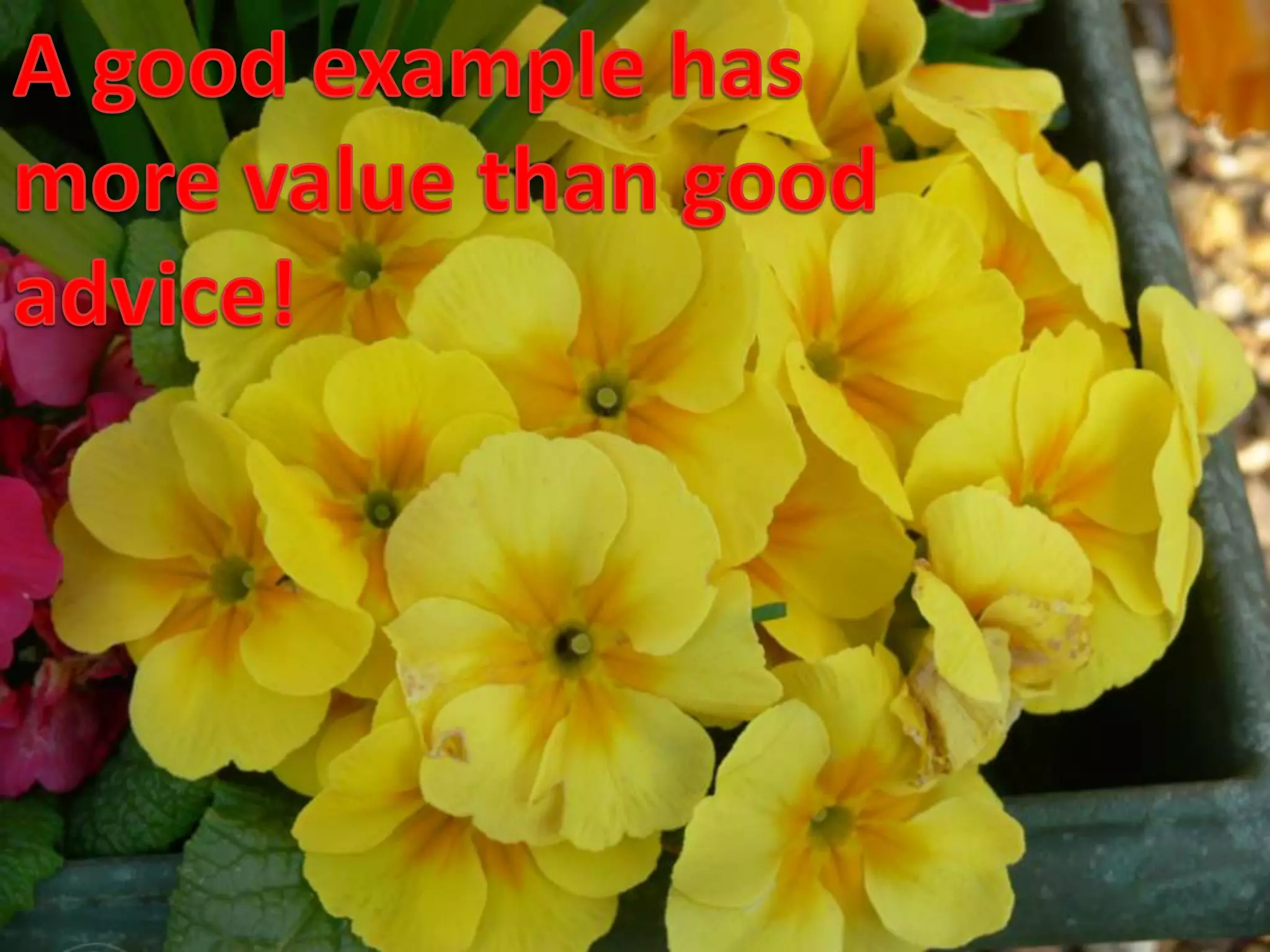 A good example has more value than good advice!