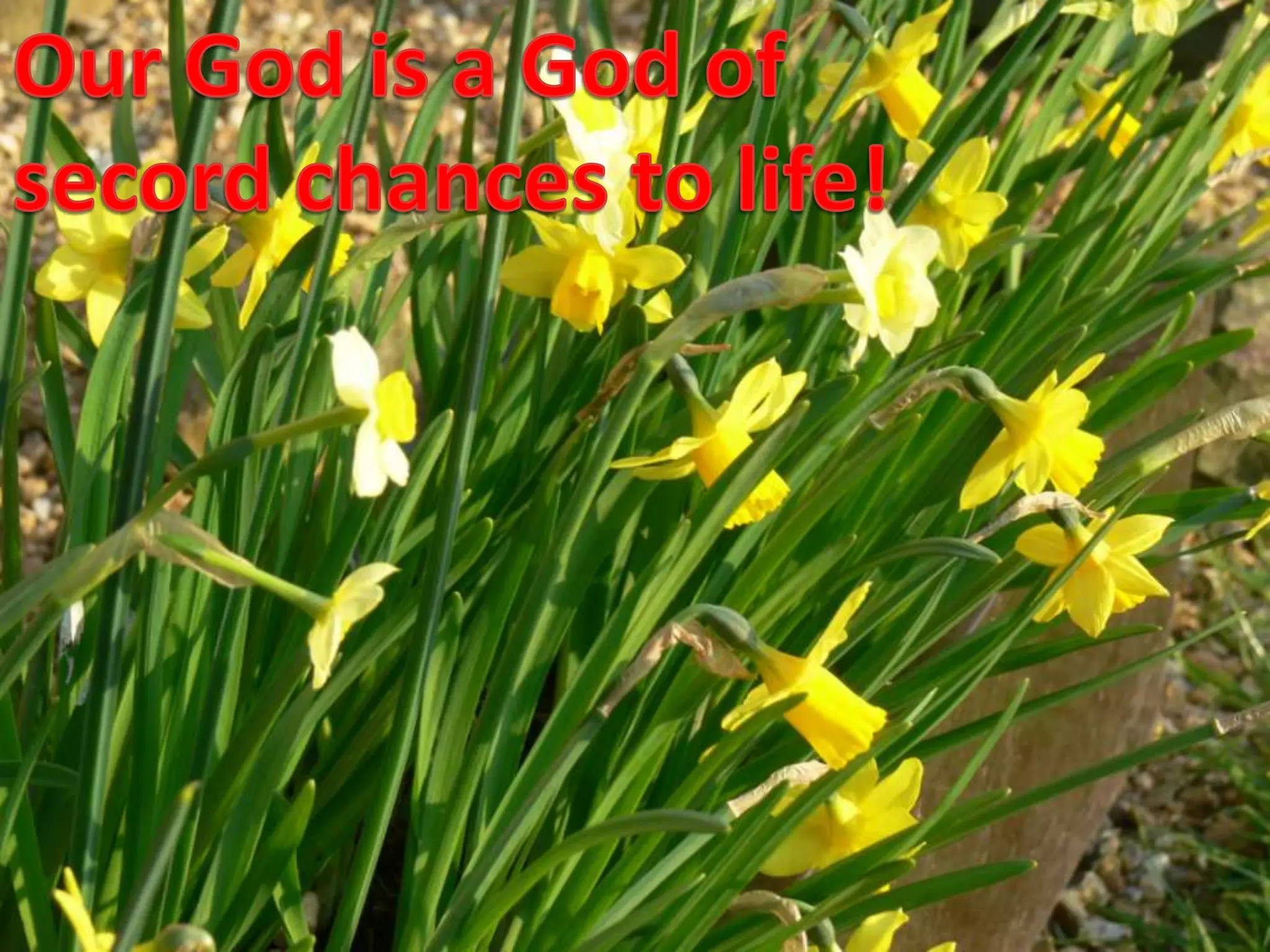 Our God is a God ofsecord chances to life!