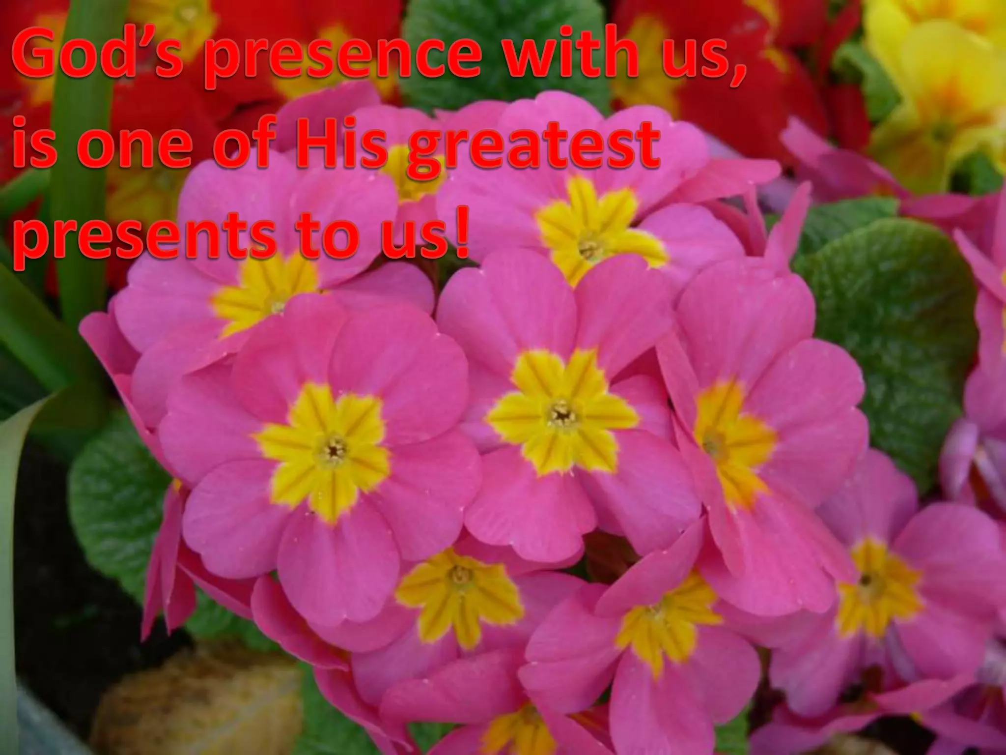 God’s presence with us,is one of His greatestpresents to us!