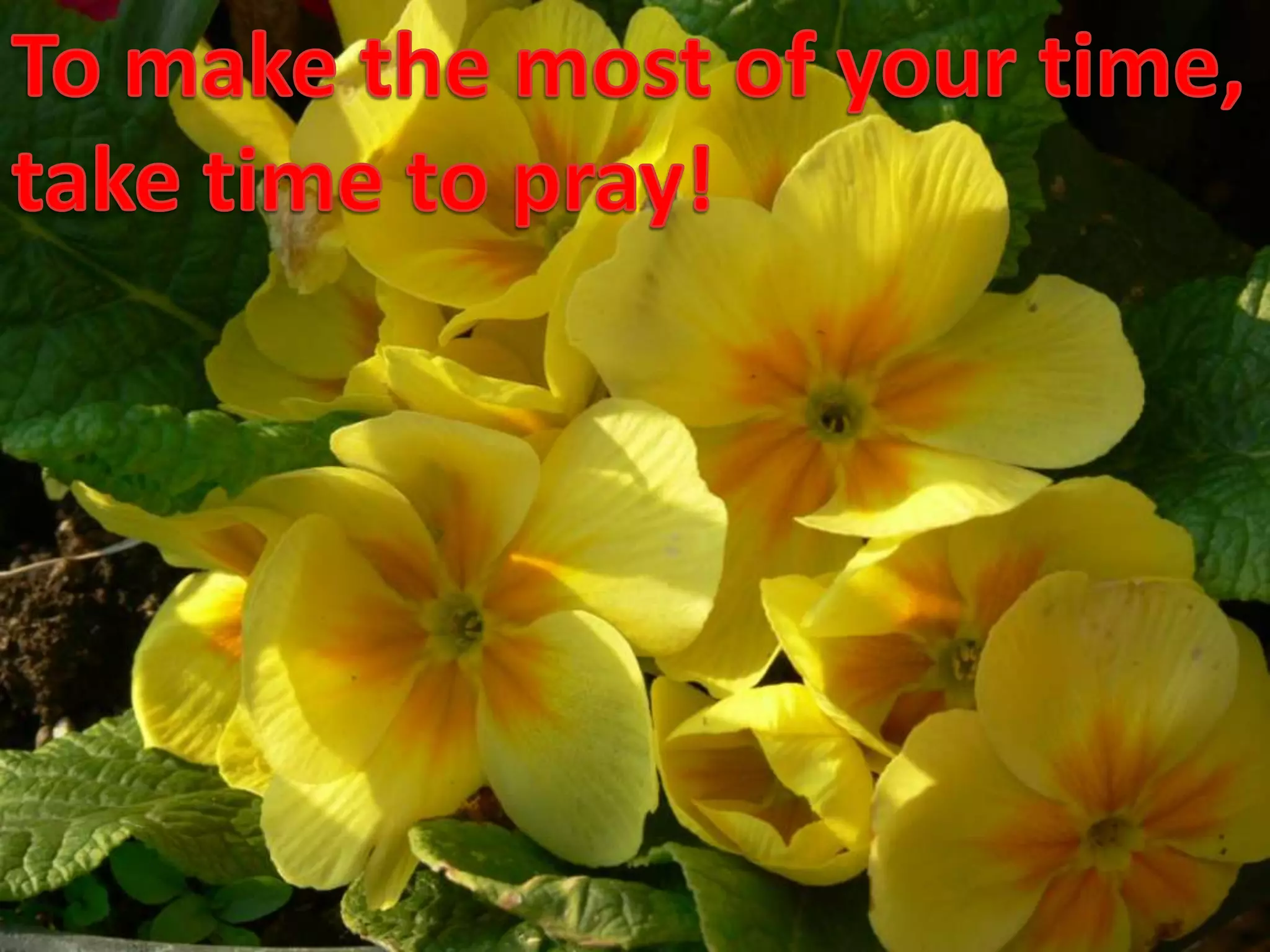 To make the most of your time,take time to pray!