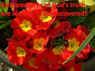 Rich treasures of God’s truthare waiting to be discovered!