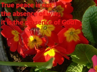 True peace is notthe absence of war;it is the presence of God!
