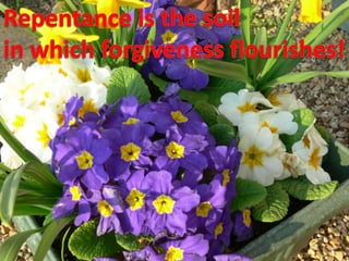 Repentance is the soilin which forgiveness flourishes!