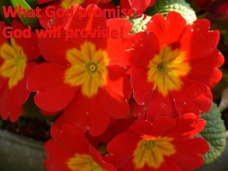 What God promises,God will provide!