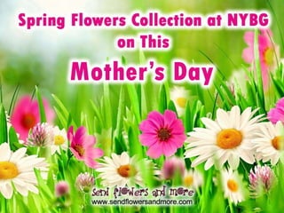 Spring flowers collection at nybg on this mother’s day