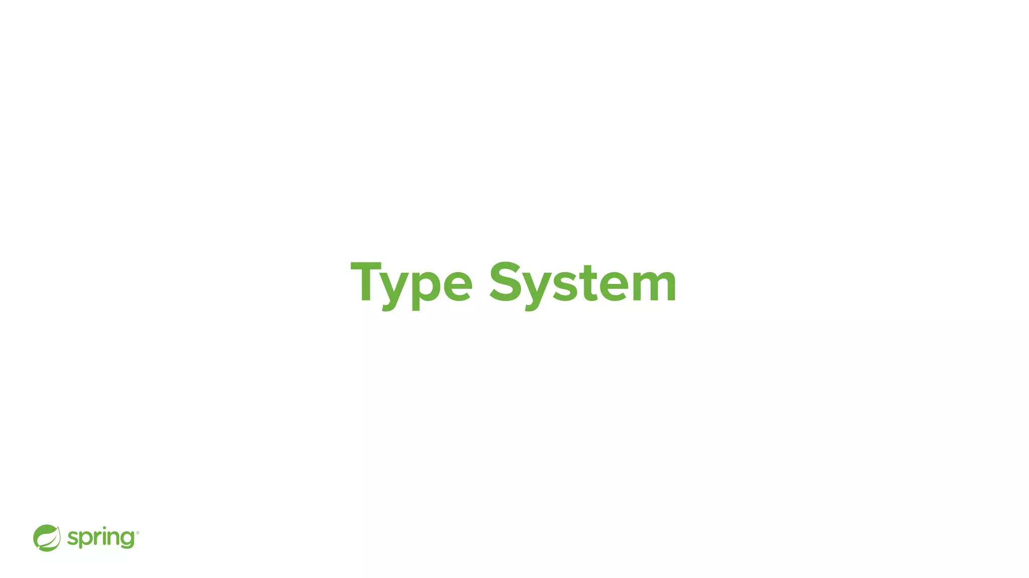 Type System 