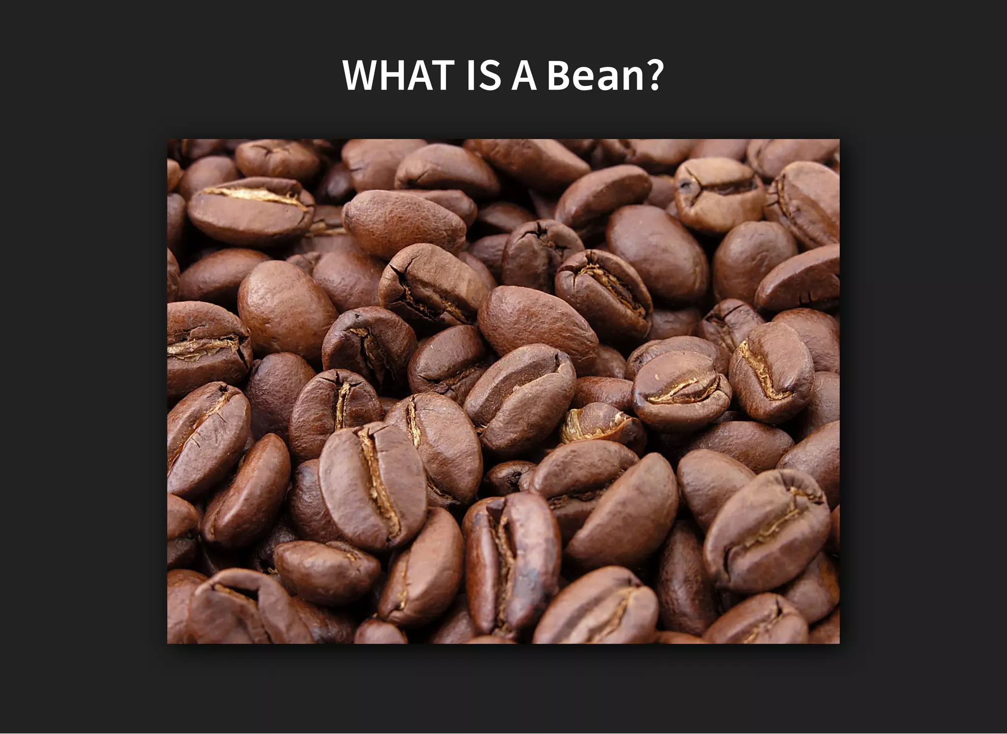 WHAT IS AWHAT IS A BeanBean??
 