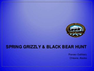 SPRING GRIZZLY & BLACK BEAR HUNT
Pioneer Outfitters
Chisana, Alaska

 
