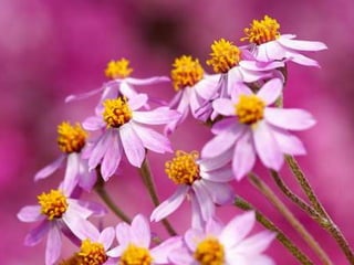 Spring has come