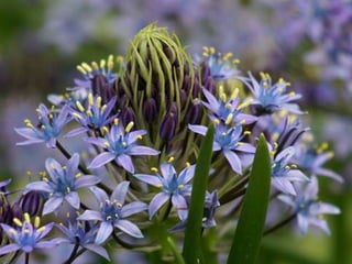 Spring has come