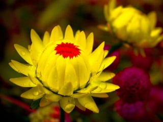 Spring has come