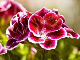 Spring has come