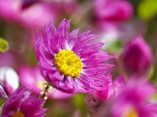 Spring has come