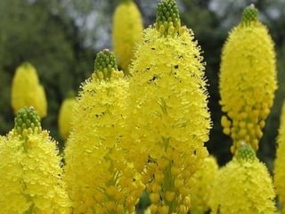 Spring has come