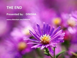 THE ENDPresented by :  DINISHAwww.slideshare.net/DINISHA