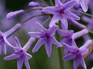 Spring has come