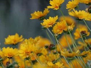 Spring has come