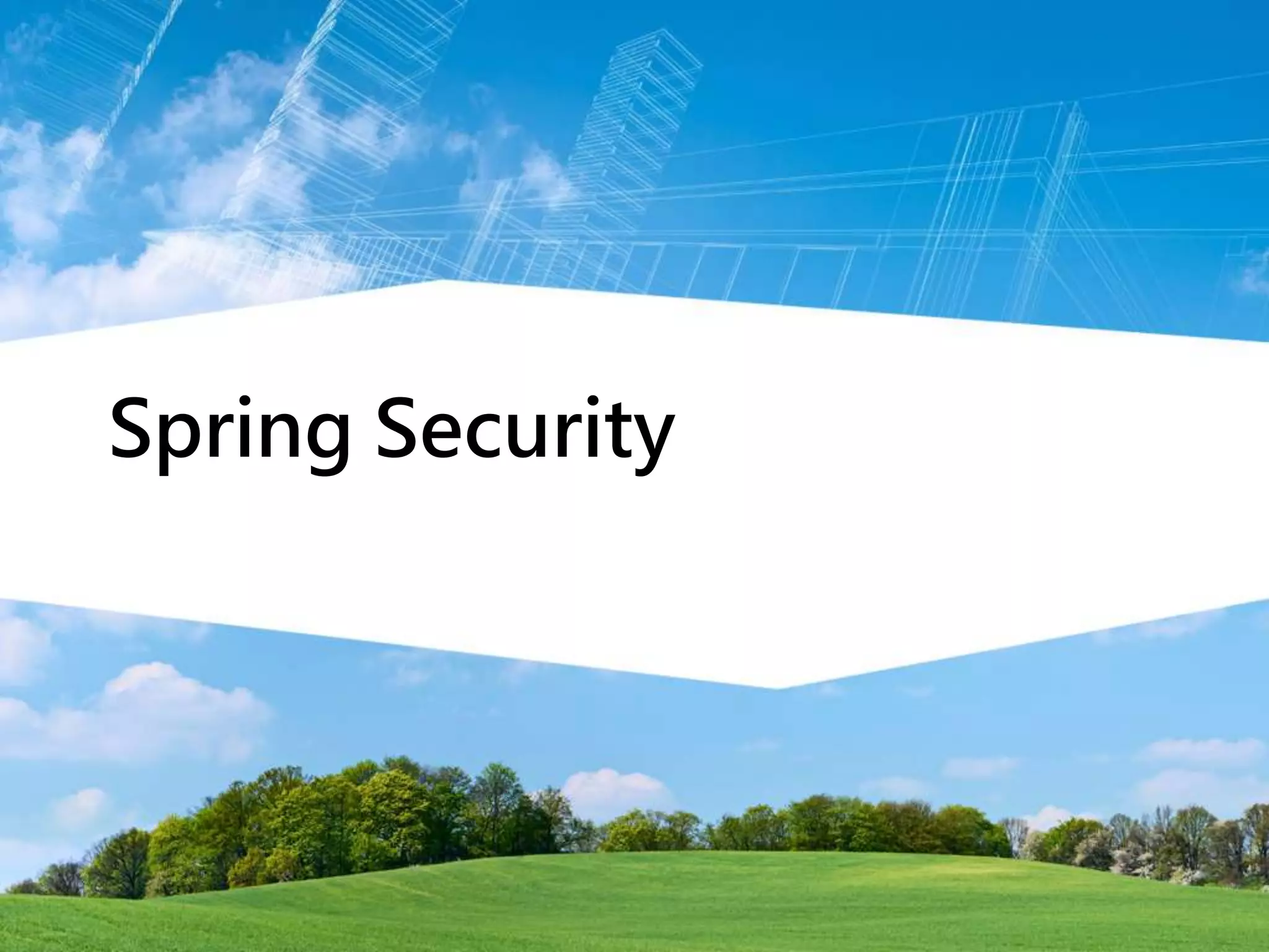 Spring Security
 