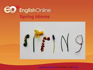Spring Idioms
Image by Kate Ter Haar on Flickr shared under CC-BY
 
