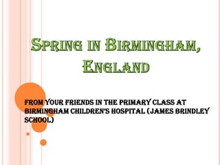 Spring in Birmingham, England From your friends in the primary class at Birmingham children’s hospital (jamesbrindley school) 